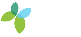 Control de plagues Girona - Desinfecció Girona - Eliminació de termites Girona - Fumigació